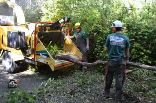 tree services Columbia City